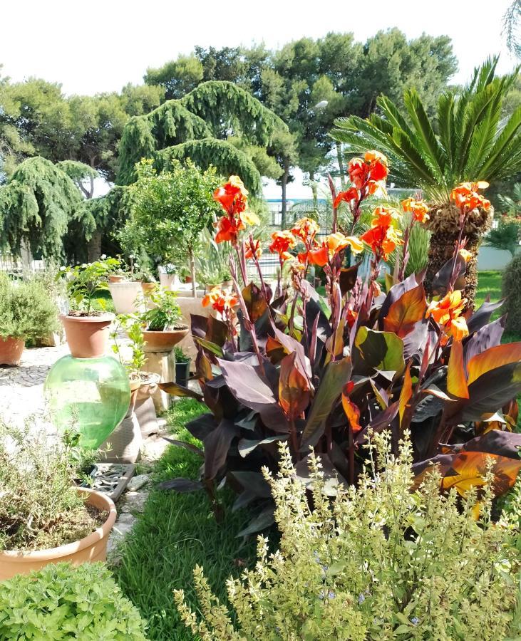 B & B Paradise Melendugno Extérieur photo